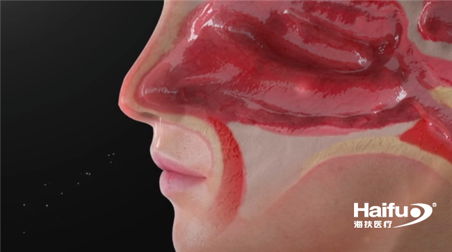 231843001618042753.png 1_副本.png