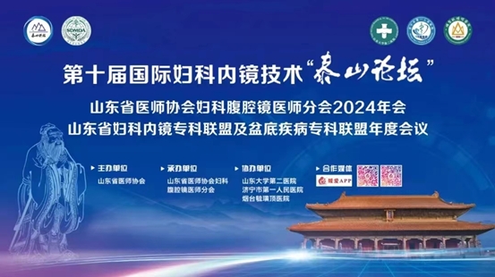 王智彪教授受邀参加第十届国际妇科内镜技术“泰山论坛”